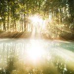 alex-gorham-mlAryG9gNyE-unsplash