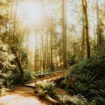 luke-miller-e8kBl55tSeA-unsplash